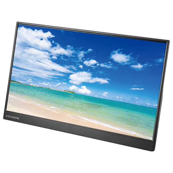 【I-O DATA】LCD-CF161XDB-Mの製品画像